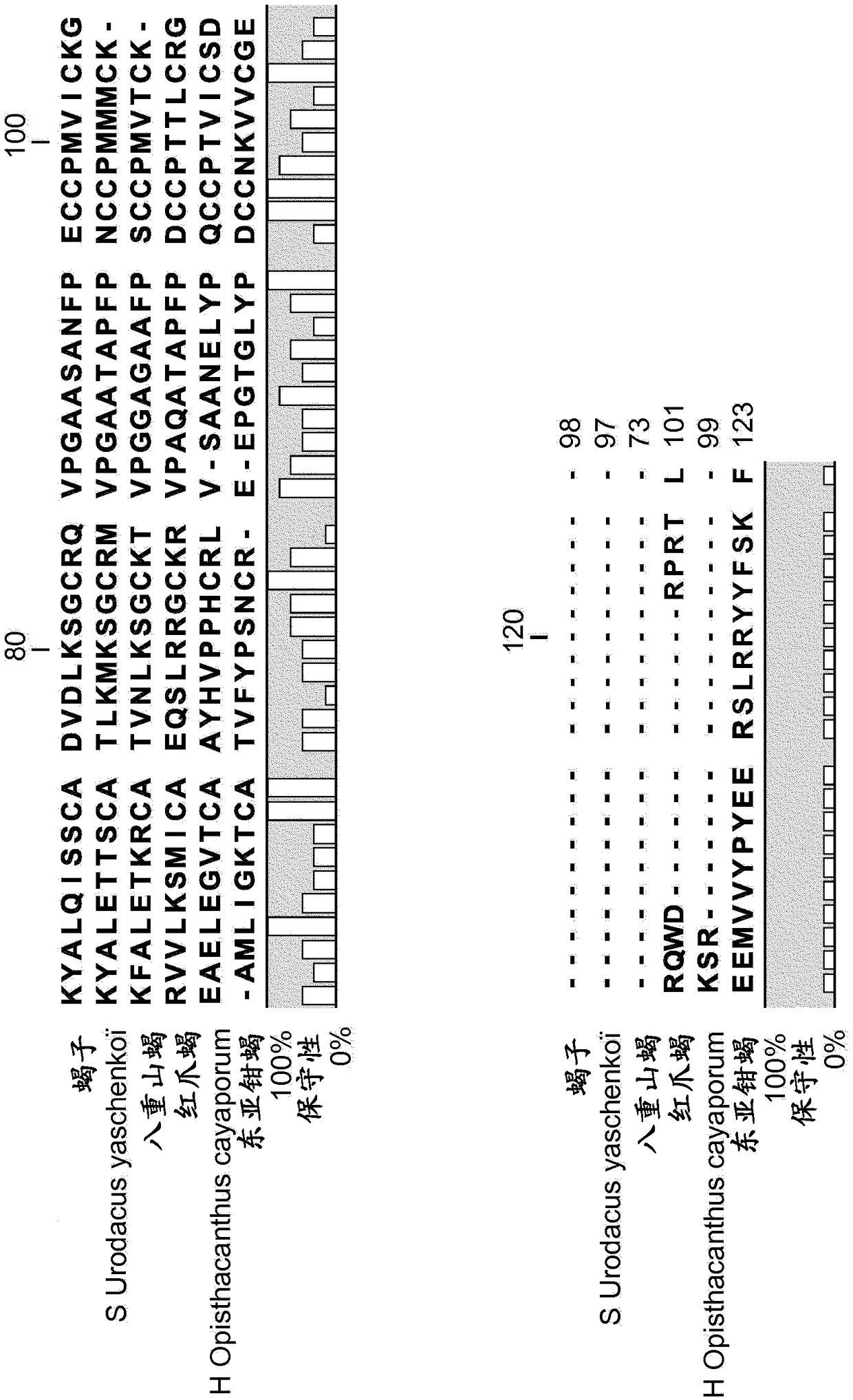 Use of la1-like peptide isolated from maurus palmatus venom as an activator of sperm motility in mammals