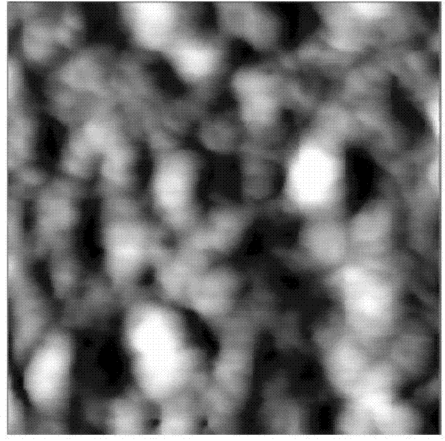 Method for modifying polydimethylsiloxane by hydrophobic coating self-assembly by using ion complementary peptide