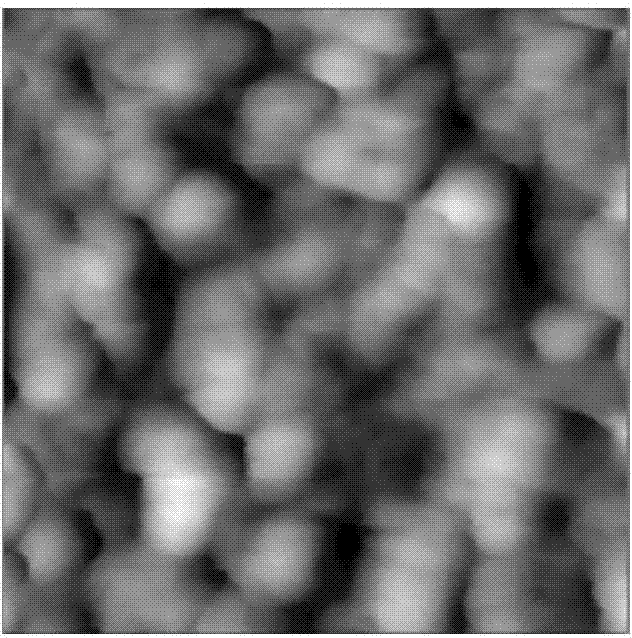 Method for modifying polydimethylsiloxane by hydrophobic coating self-assembly by using ion complementary peptide