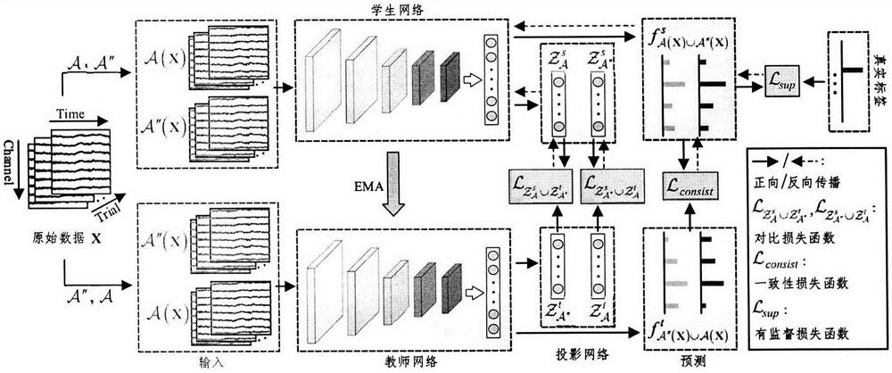 Electroencephalogram signal classification method based on collaborative contrast regularization average teacher model