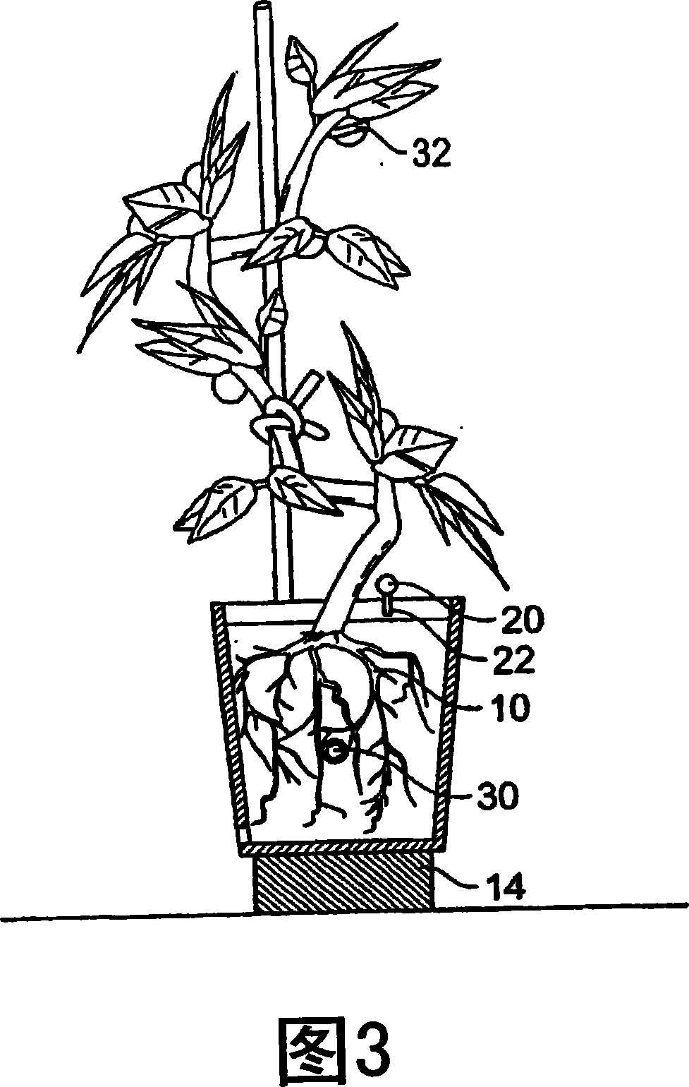 A method of hydroponic cultivation and components for use therewith