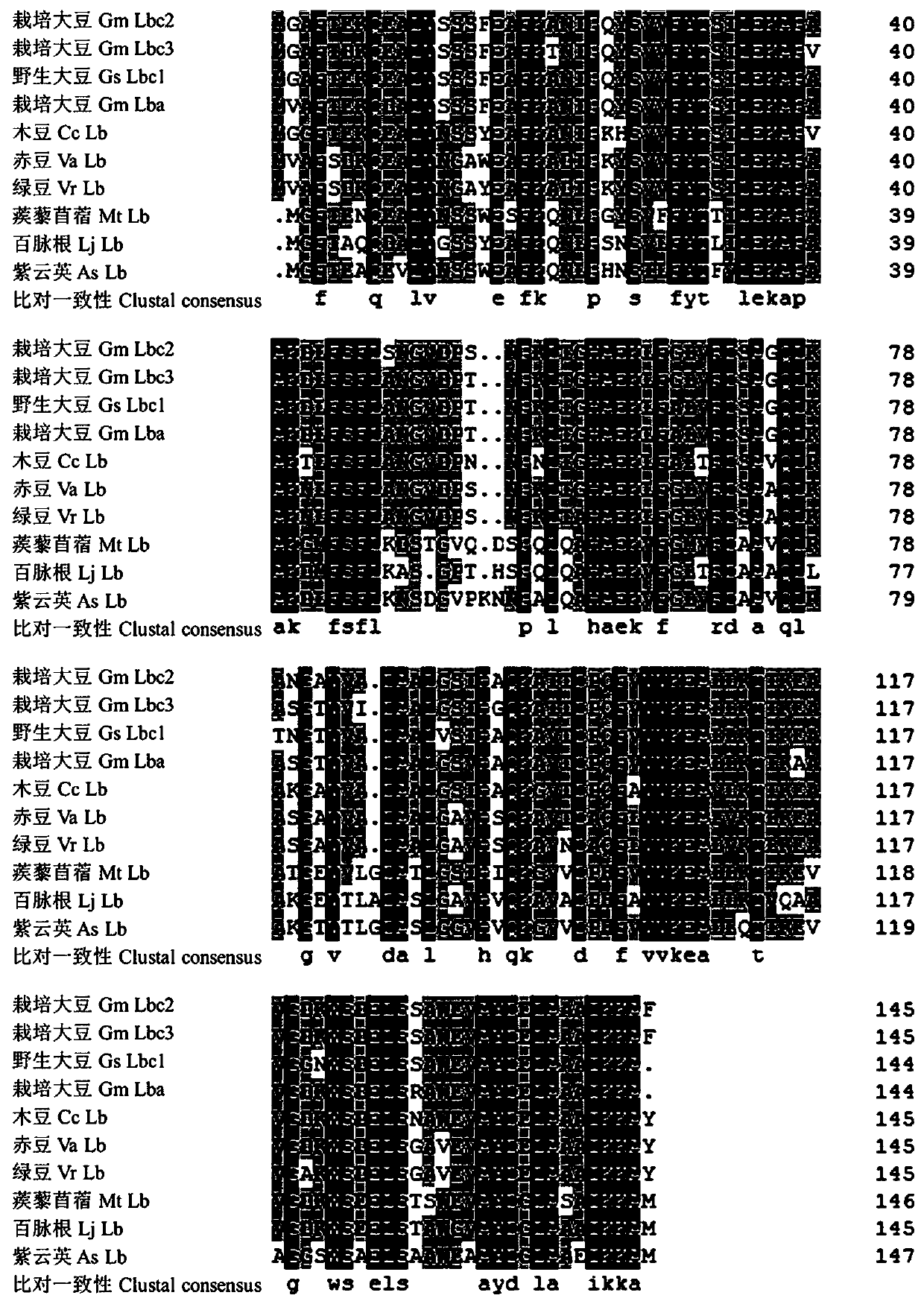 Leghemoglobin GmLbc2 gene involved in symbiotic nodulation of leguminous plants and its application