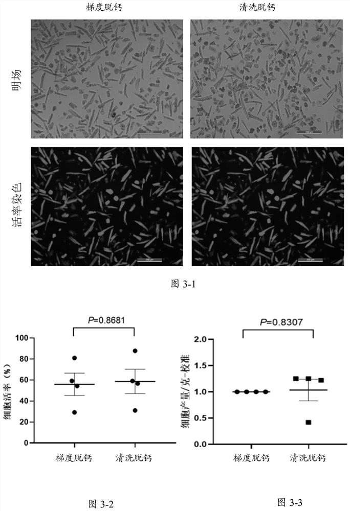 Cardiomyocyte isolation reagent and isolation method