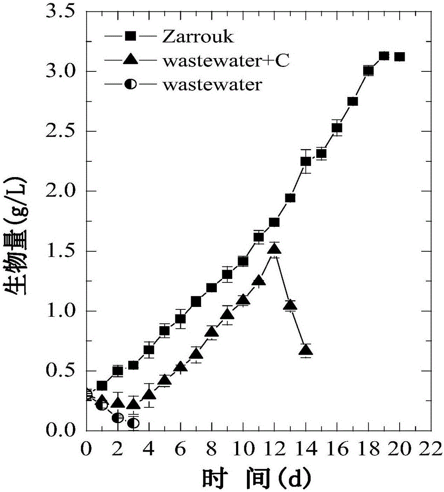 High density microalgae culture method in membrane photobioreactor using municipal wastewater