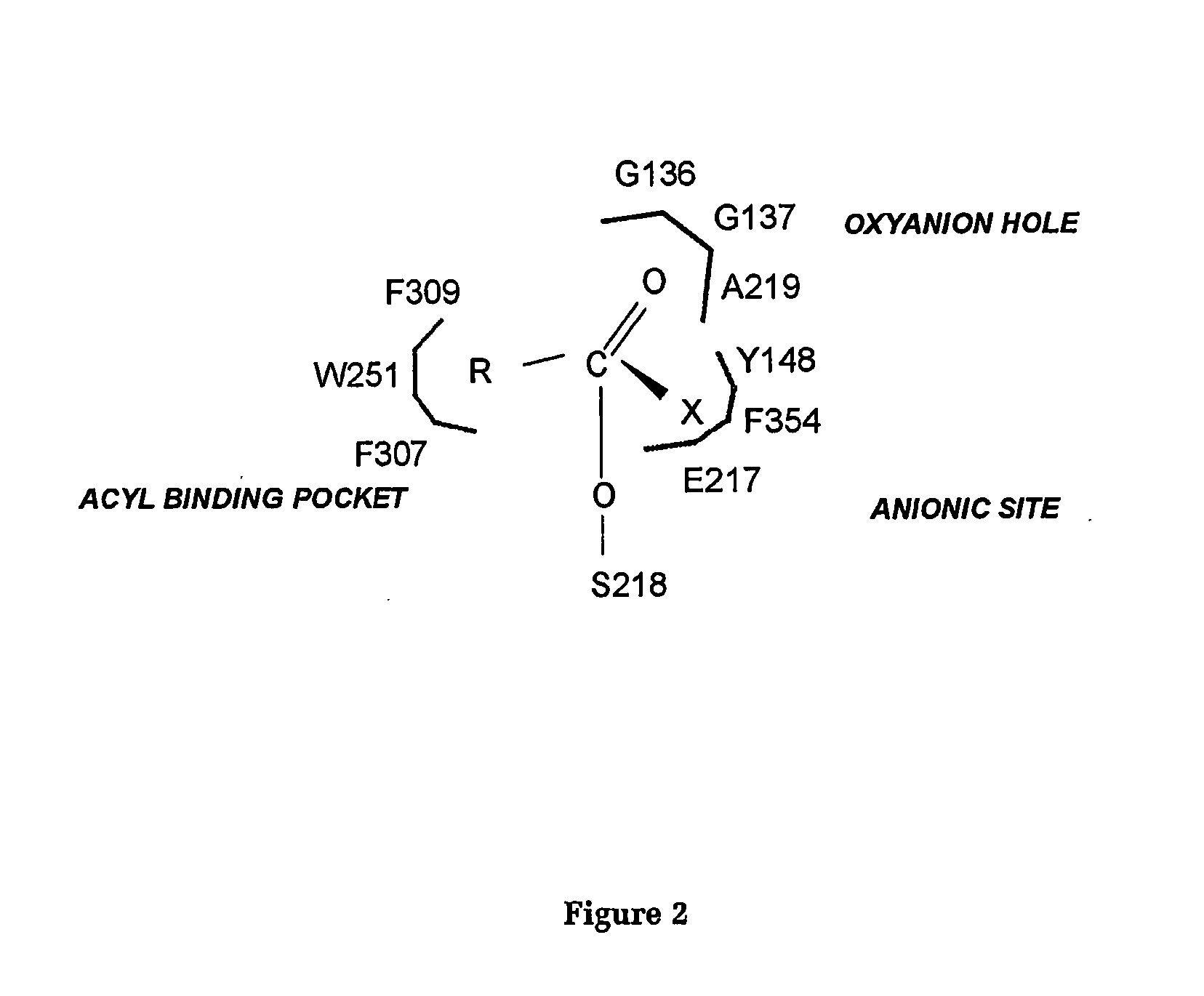 Degradation of hydrophobic ester pesticides and toxins