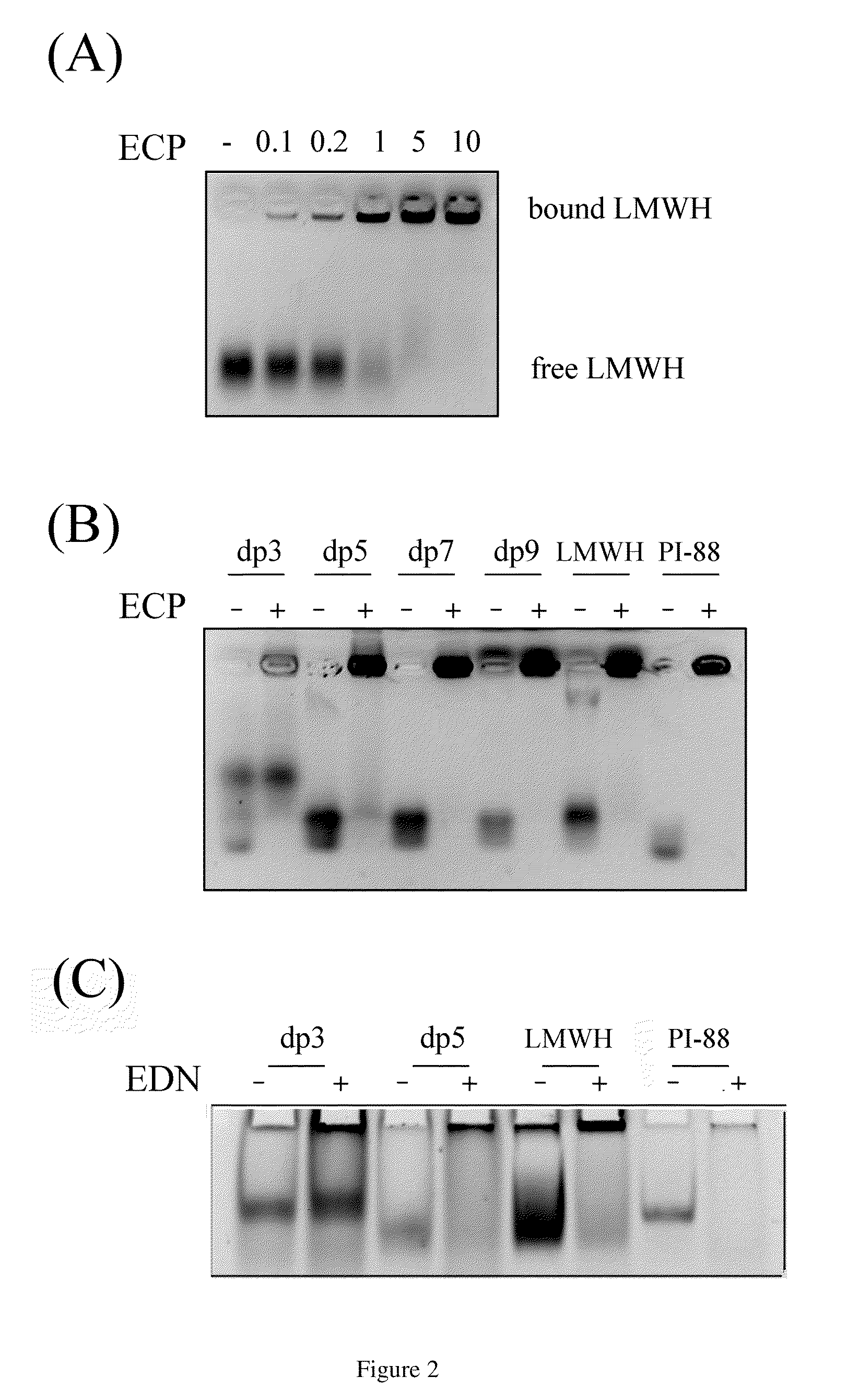 Heparin binding motif and use thereof