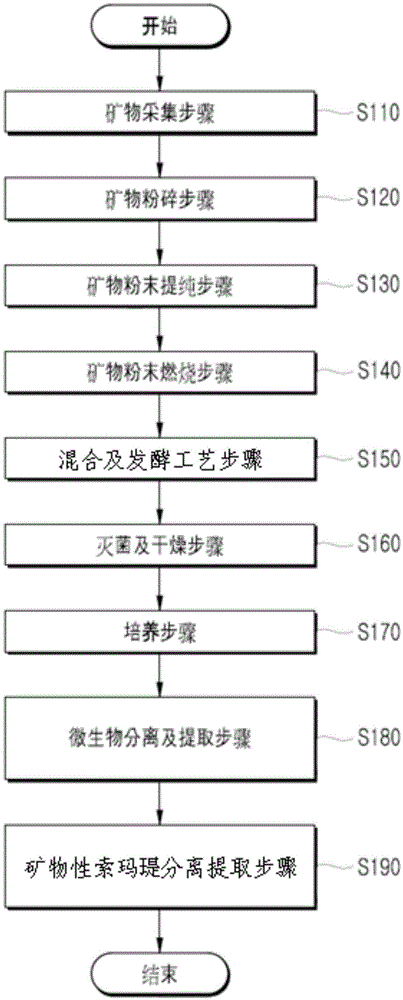 Method for extracting mineral somatid and method for preparing multifunctional advanced materials using same