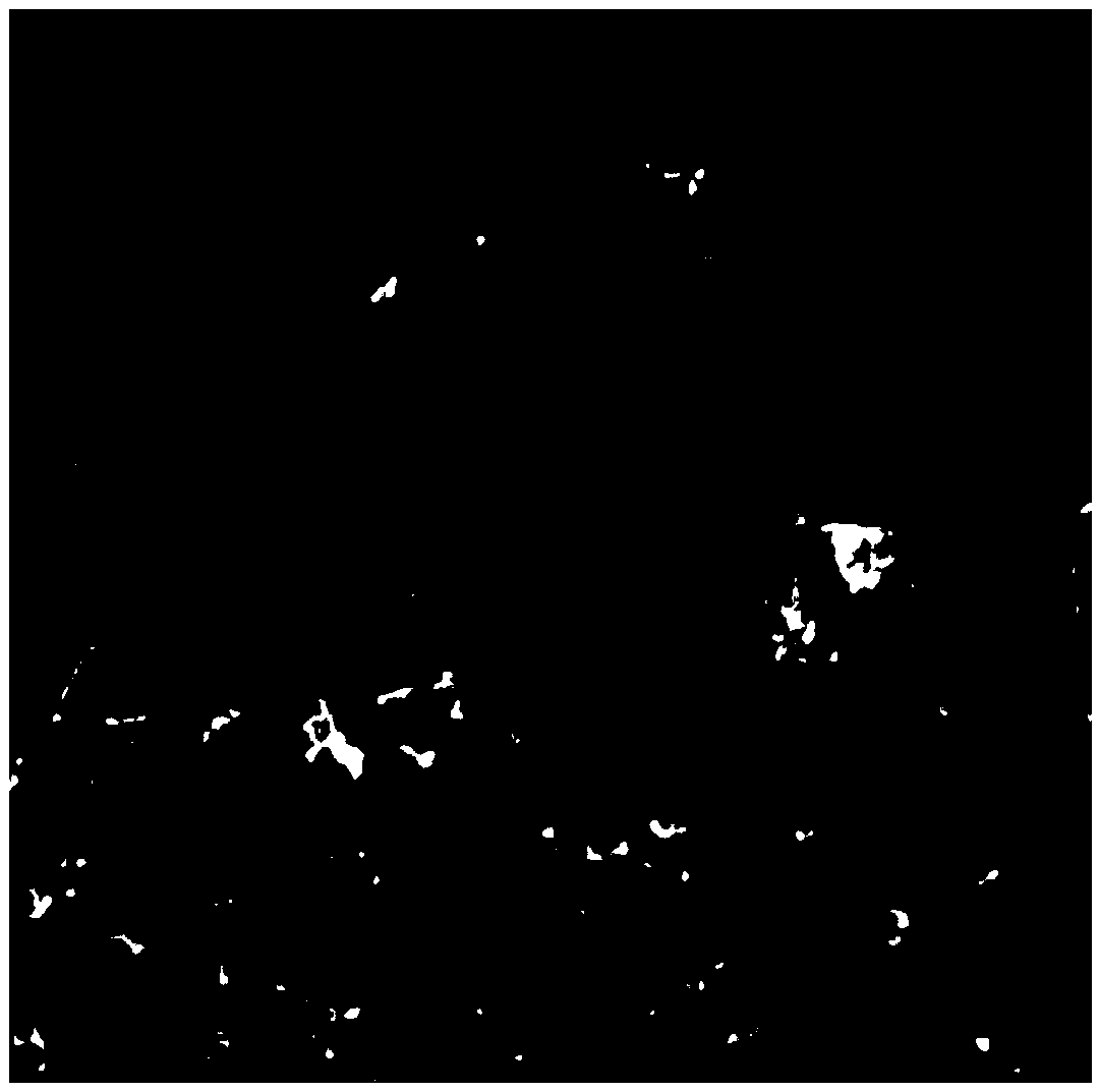 Preparation method and application of cancer marker detection system based on silver aggregate-polymer and gold nanowire array