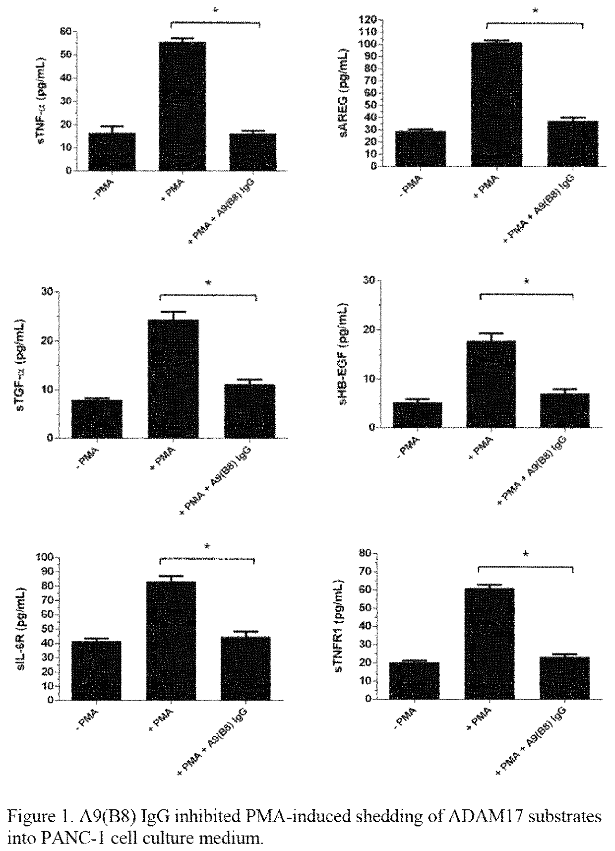 Method of treatment for pancreatic cancer by administering a human-mouse cross-reactive ADAM 17 antibody