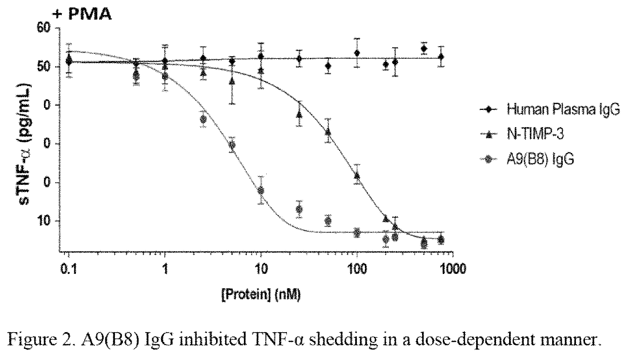 Method of treatment for pancreatic cancer by administering a human-mouse cross-reactive ADAM 17 antibody