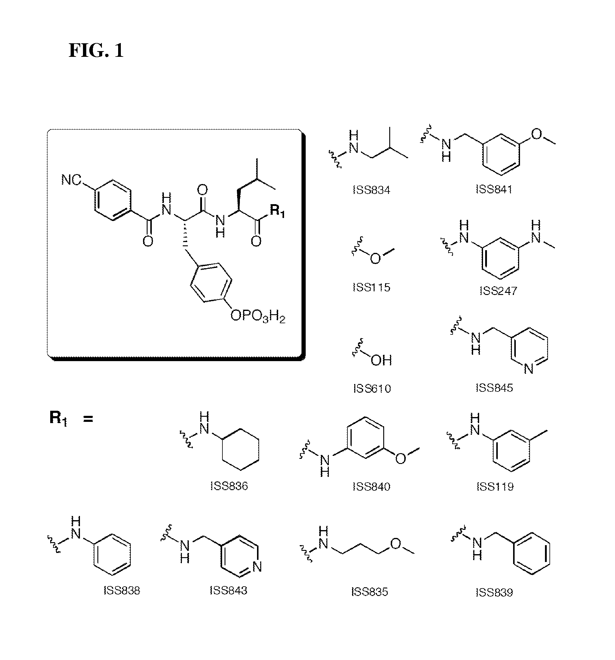 Use of SH2 STAT3/STAT1 Peptidomimetics as Anticancer Drugs