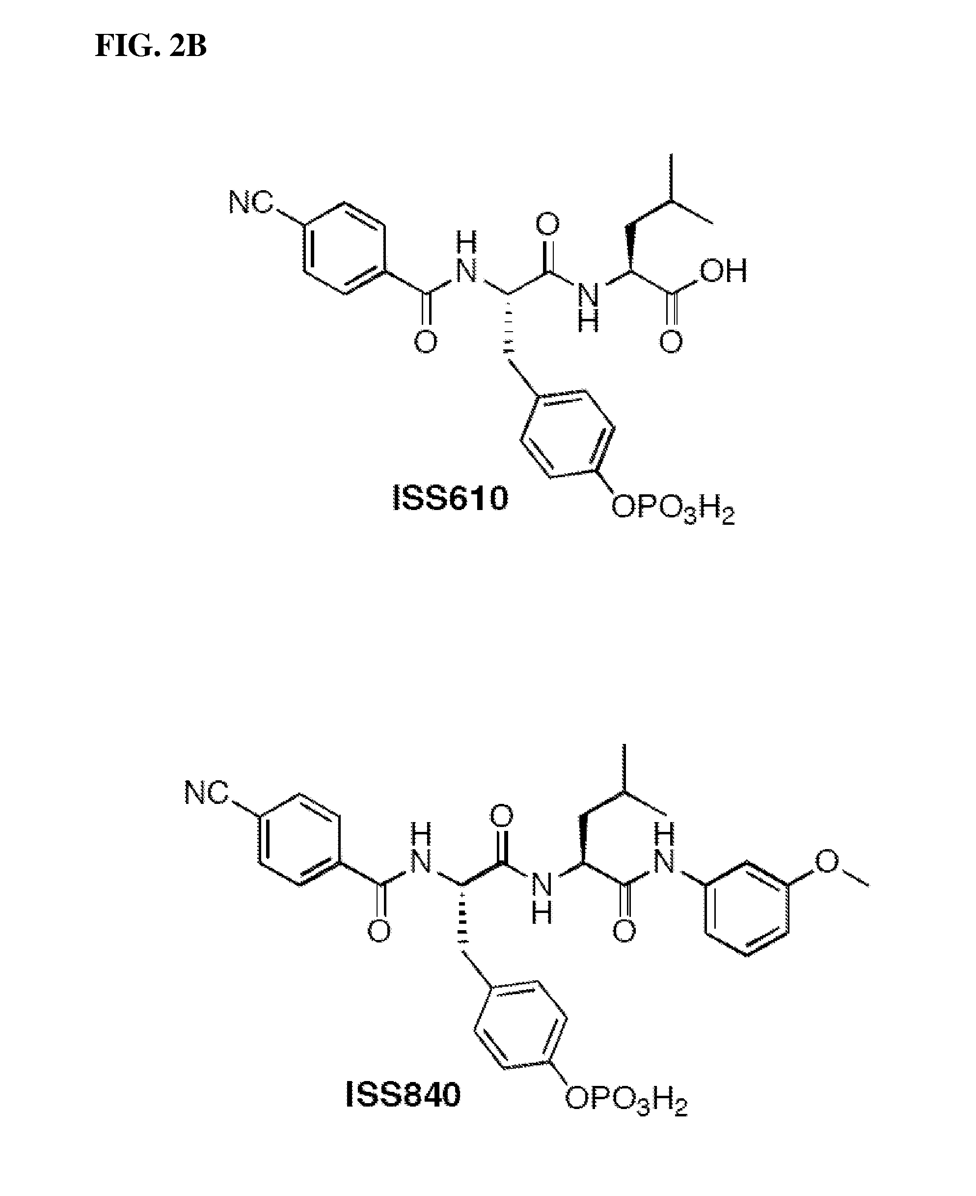 Use of SH2 STAT3/STAT1 Peptidomimetics as Anticancer Drugs