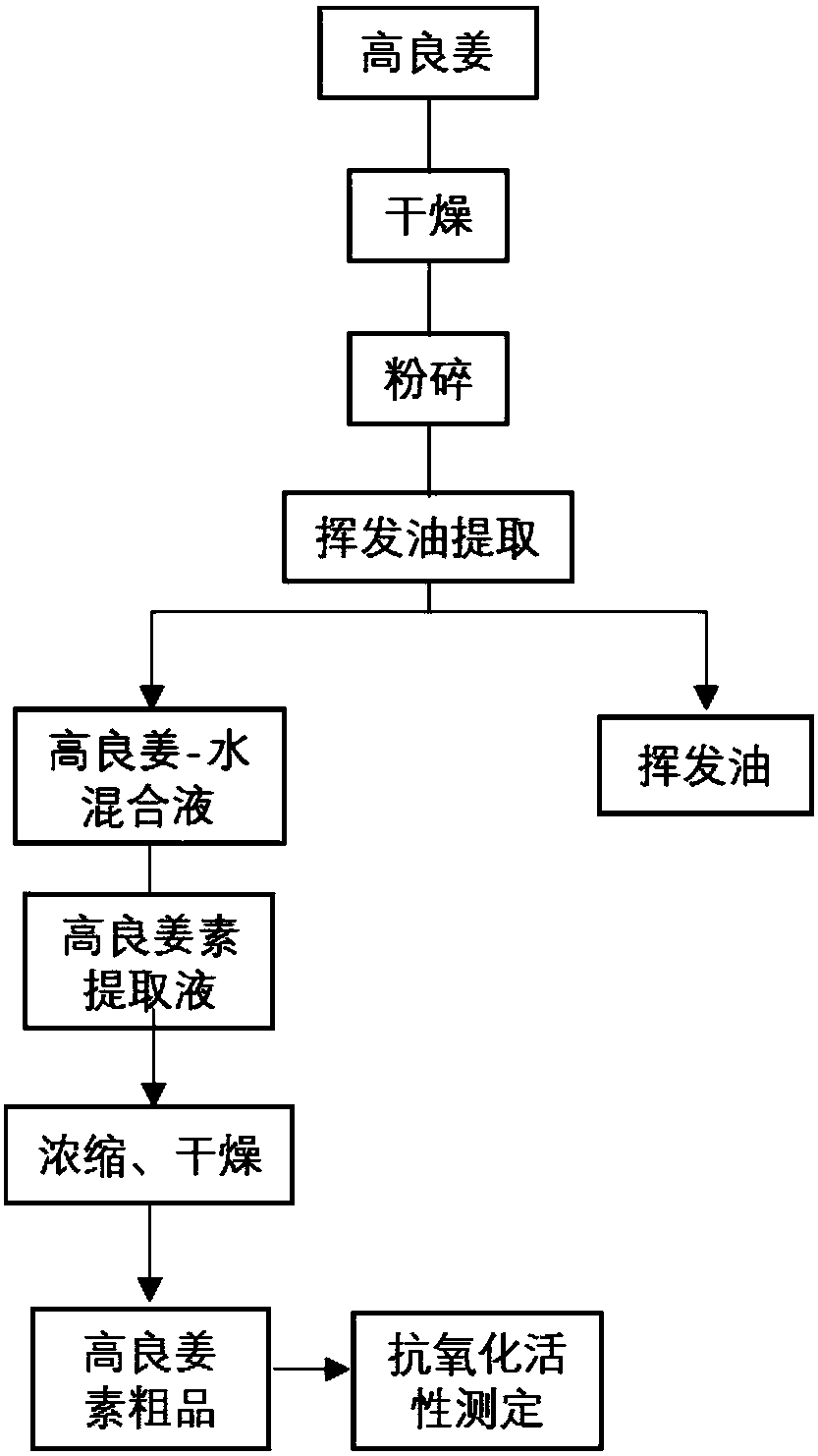 Method for combined extraction of alpinia officinarum hance volatile oil and galangin from alpinia officinarum hance