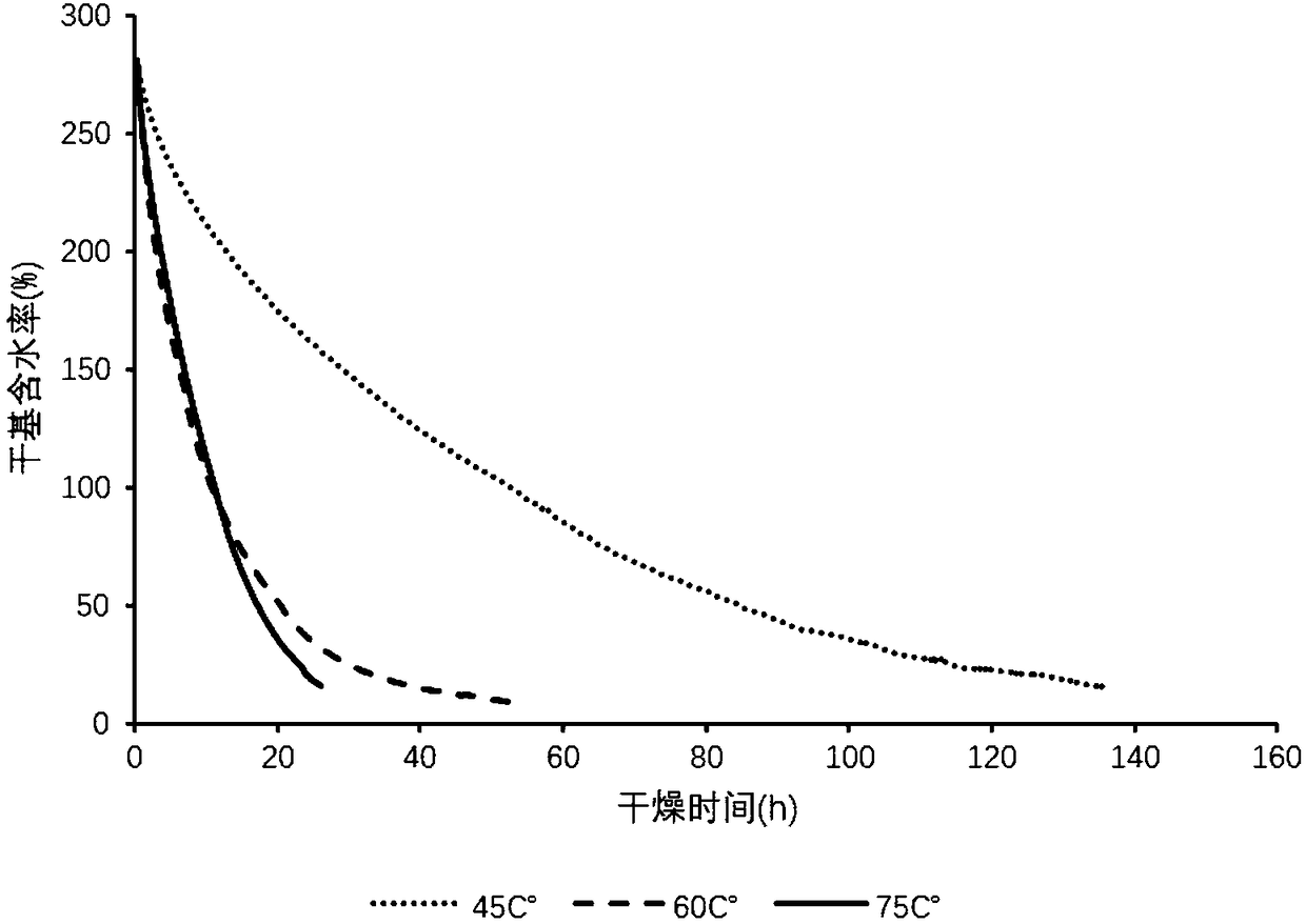 Method for combined extraction of alpinia officinarum hance volatile oil and galangin from alpinia officinarum hance