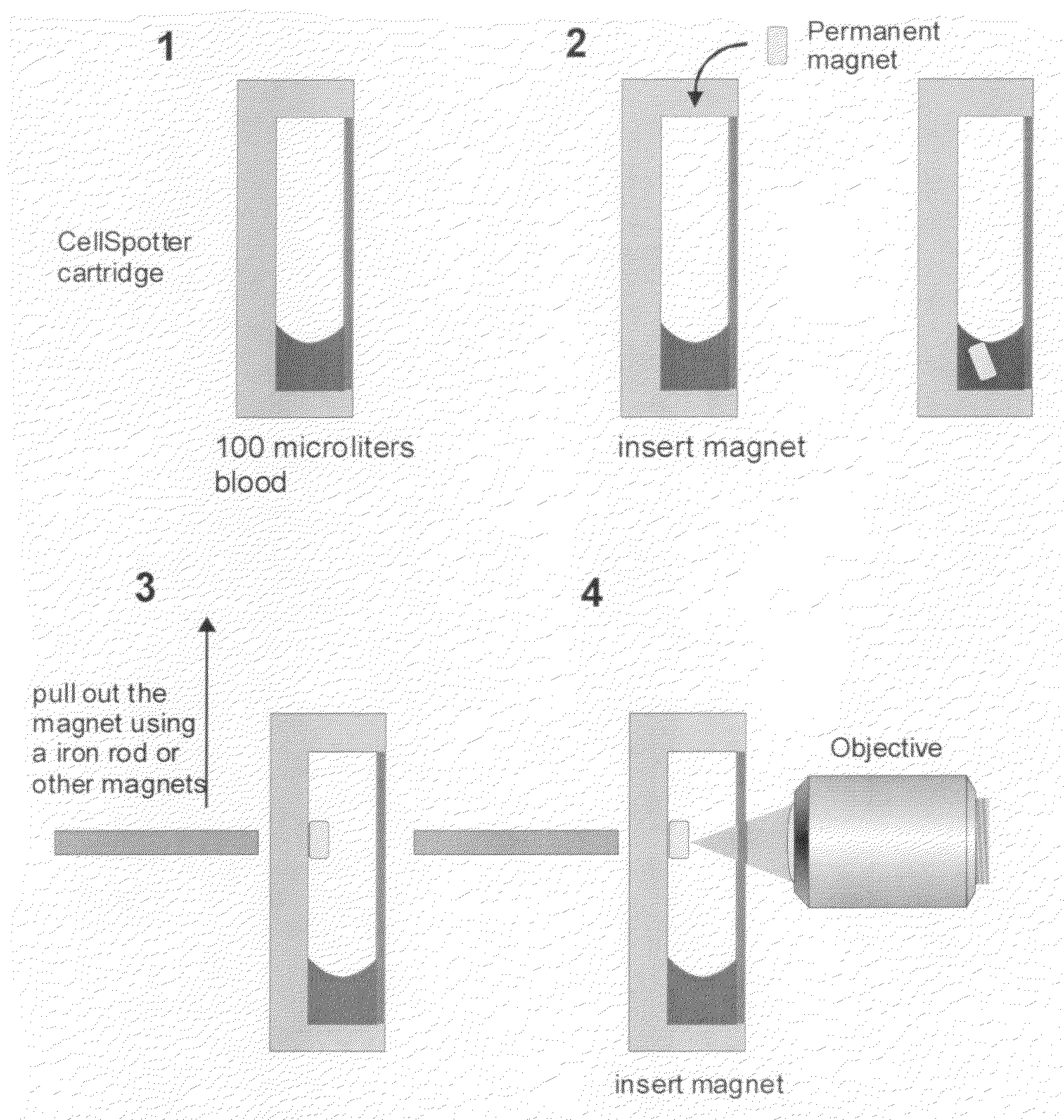 Method and apparatus for imaging target components in a biological sample using permanent magnets