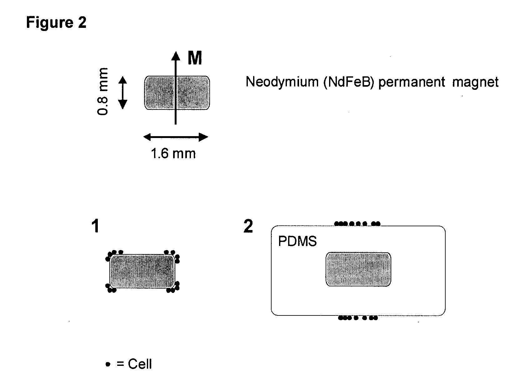 Method and apparatus for imaging target components in a biological sample using permanent magnets