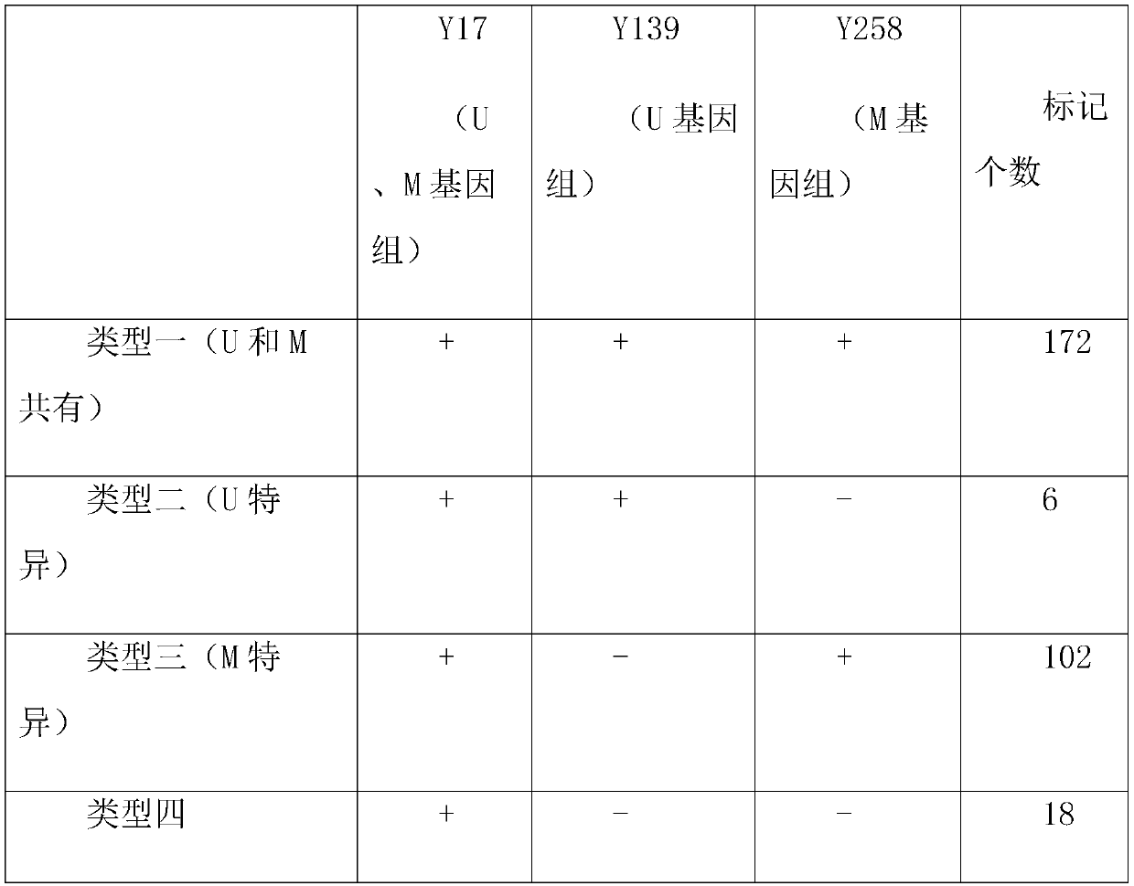 Aegilops biuncialis specific molecular marker obtaining method and application thereof