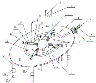 A size-adjustable fixation device for isolated eyeball