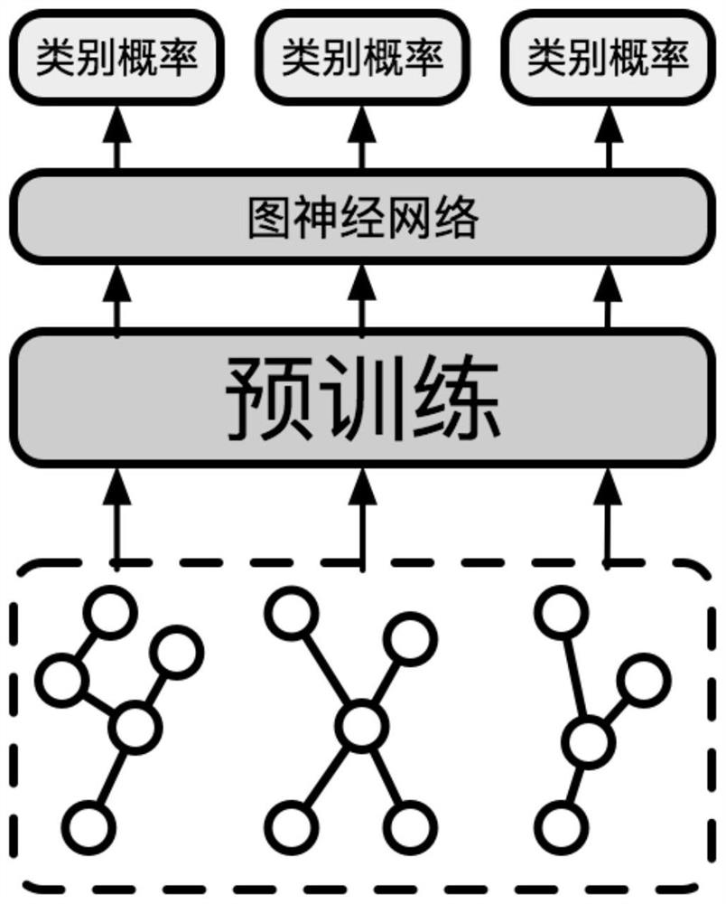 Functional brain network classification method based on pre-training and graph neural network