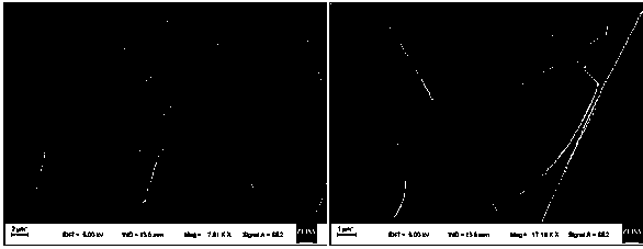 Polylactic acid/lappaconite hydrobromide composite fiber and preparation and application thereof