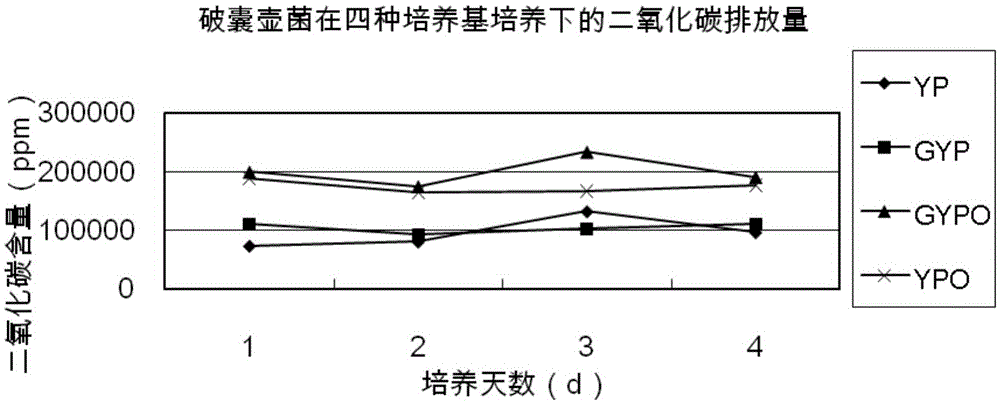 Method for transforming vegetable oil into very-long-chain highly unsaturated fatty acid enriched bio-oil