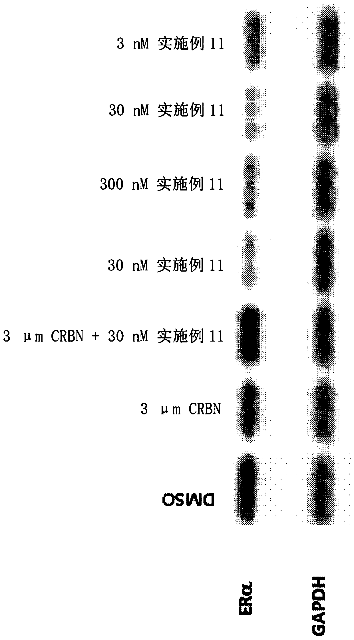 Modulators of estrogen receptor proteolysis and associated methods of use