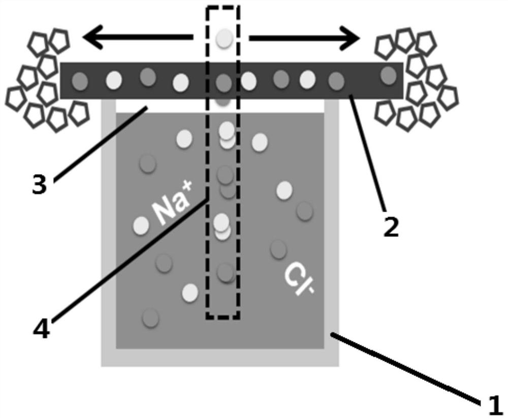 Solar-driven salt extraction evaporator