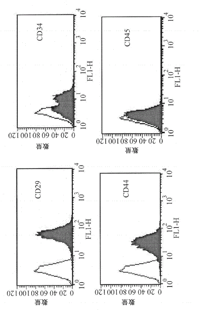 Non-tumorigenic expansion of pluripotent stem cells