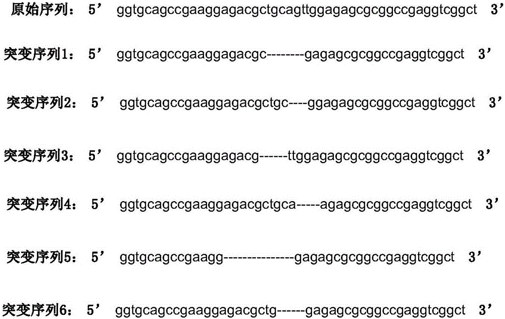 Modification method of mammal genome