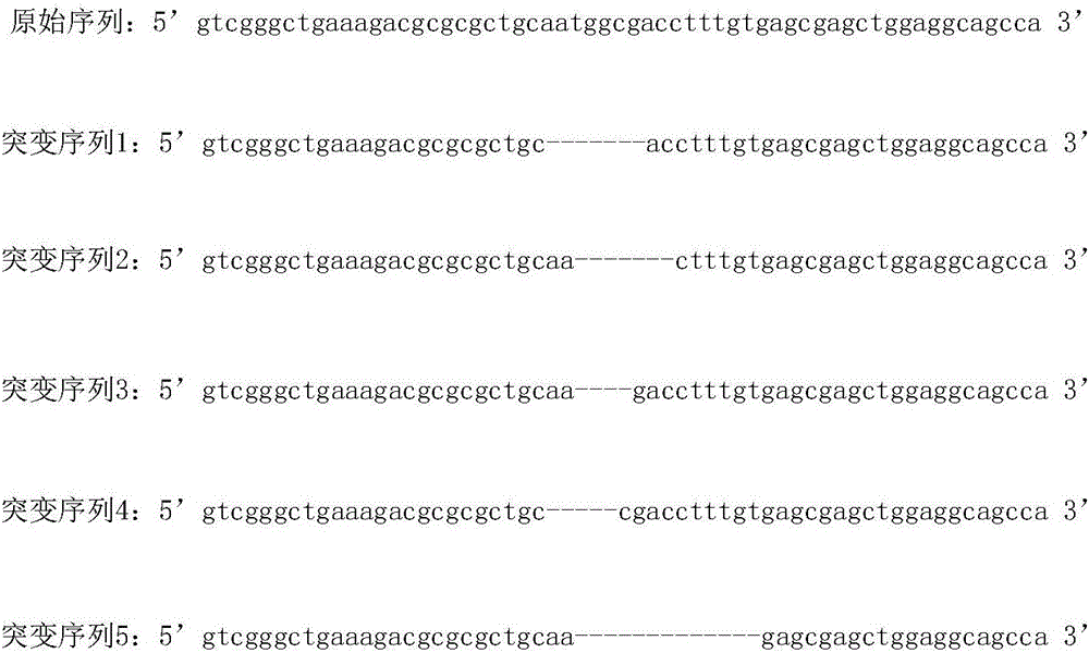 Modification method of mammal genome