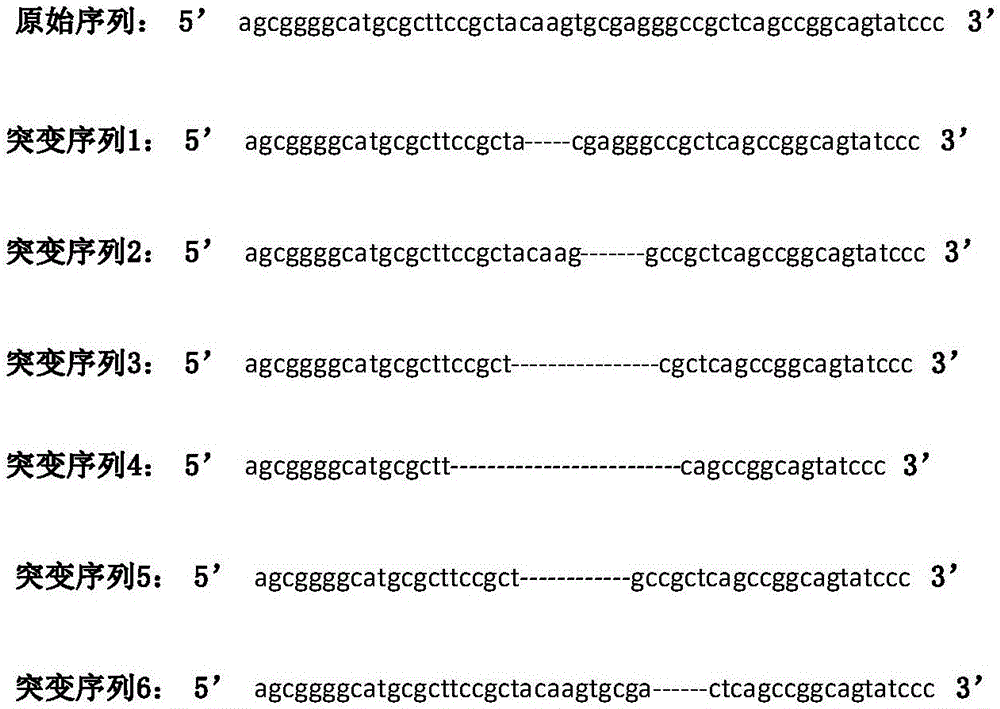 Modification method of mammal genome