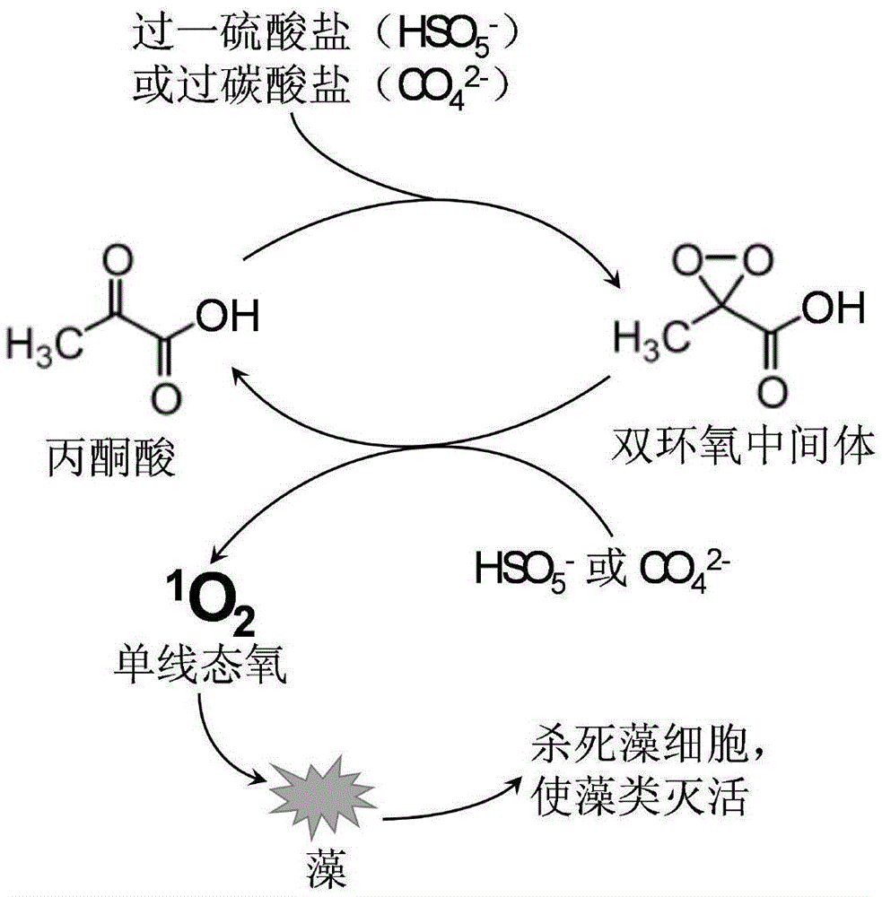 Method for utilizing singlet oxygen for removing algae