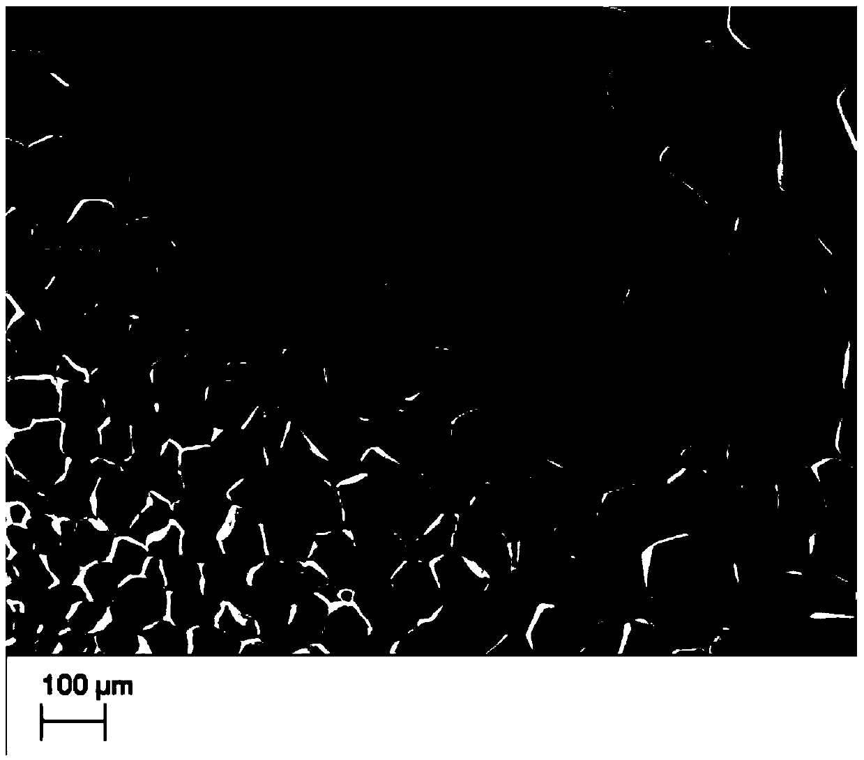 Thermoplastic polyurethane elastomer foam bead and preparation method thereof