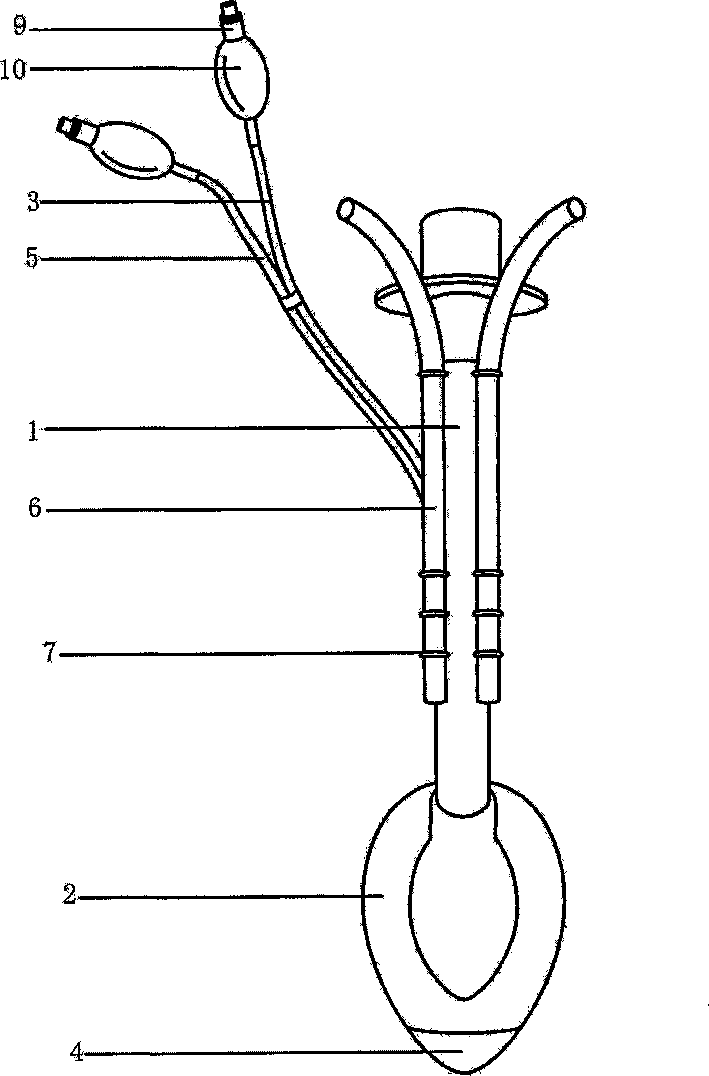 Transesophageal examination laryngeal mask