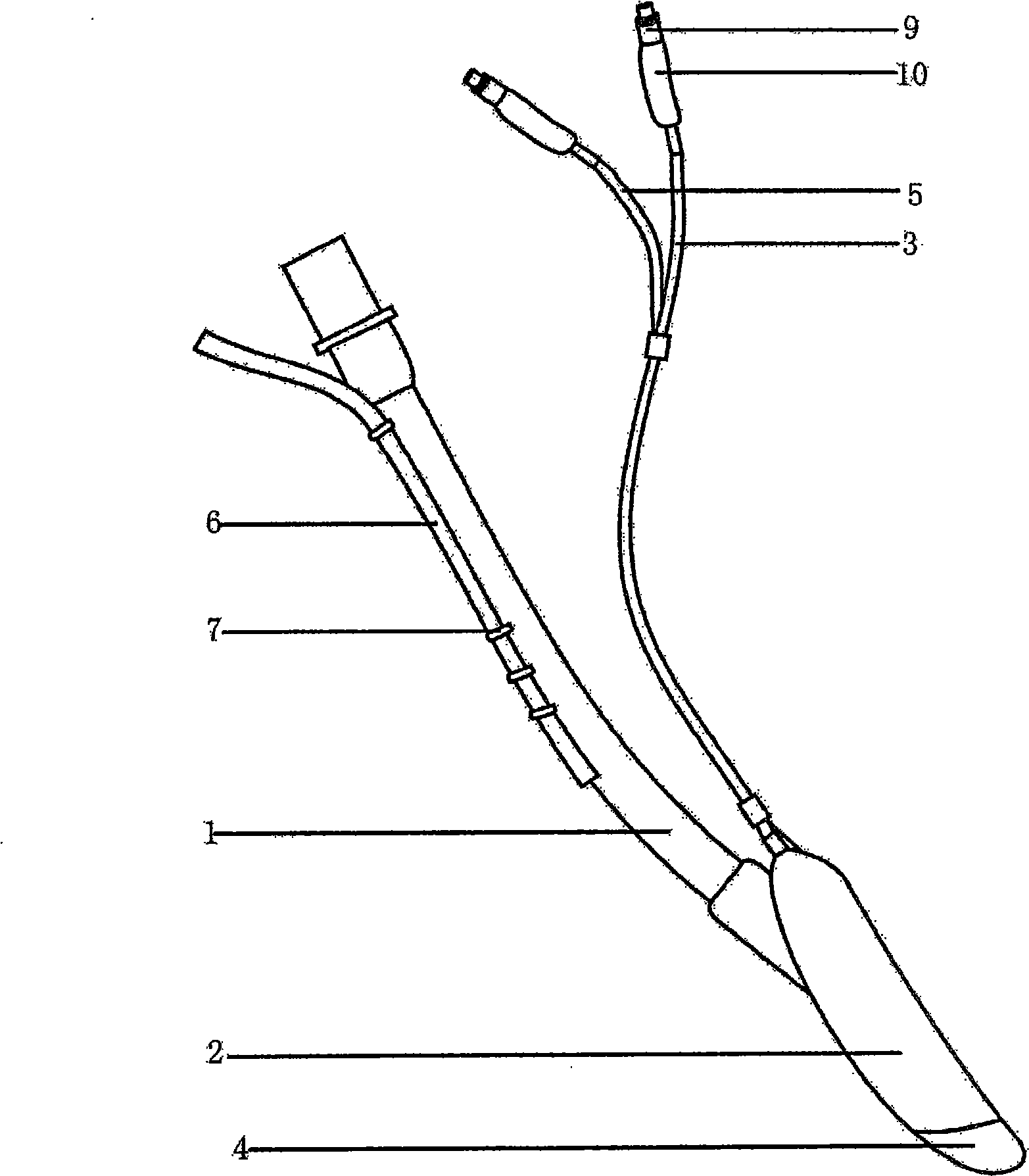 Transesophageal examination laryngeal mask