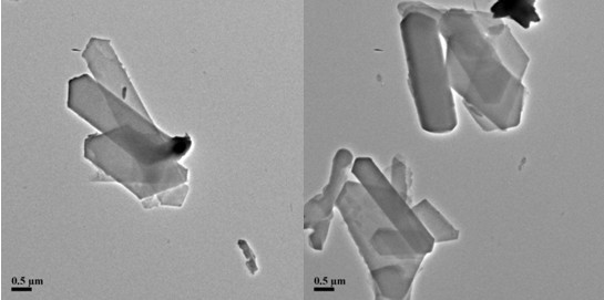 Method for preparing glyzinc under high pressure