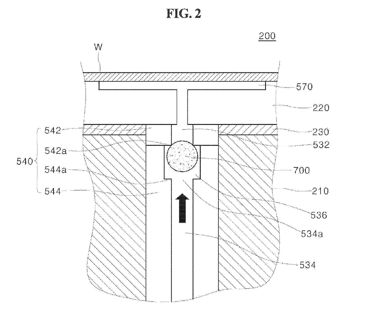 Substrate supporting member and substrate processing apparatus including same