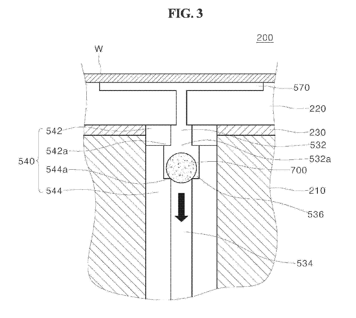 Substrate supporting member and substrate processing apparatus including same