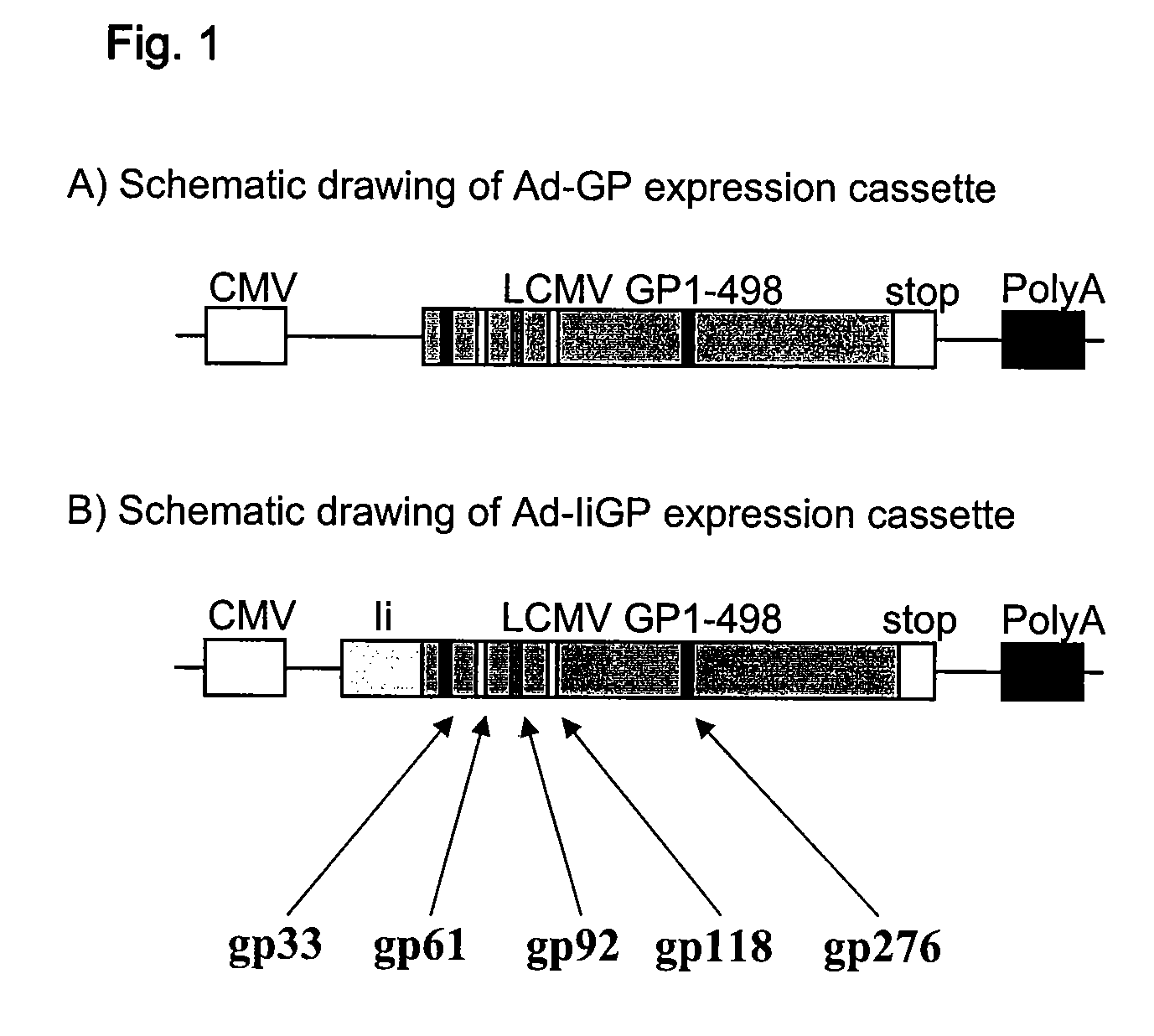 Nucleotide vaccine