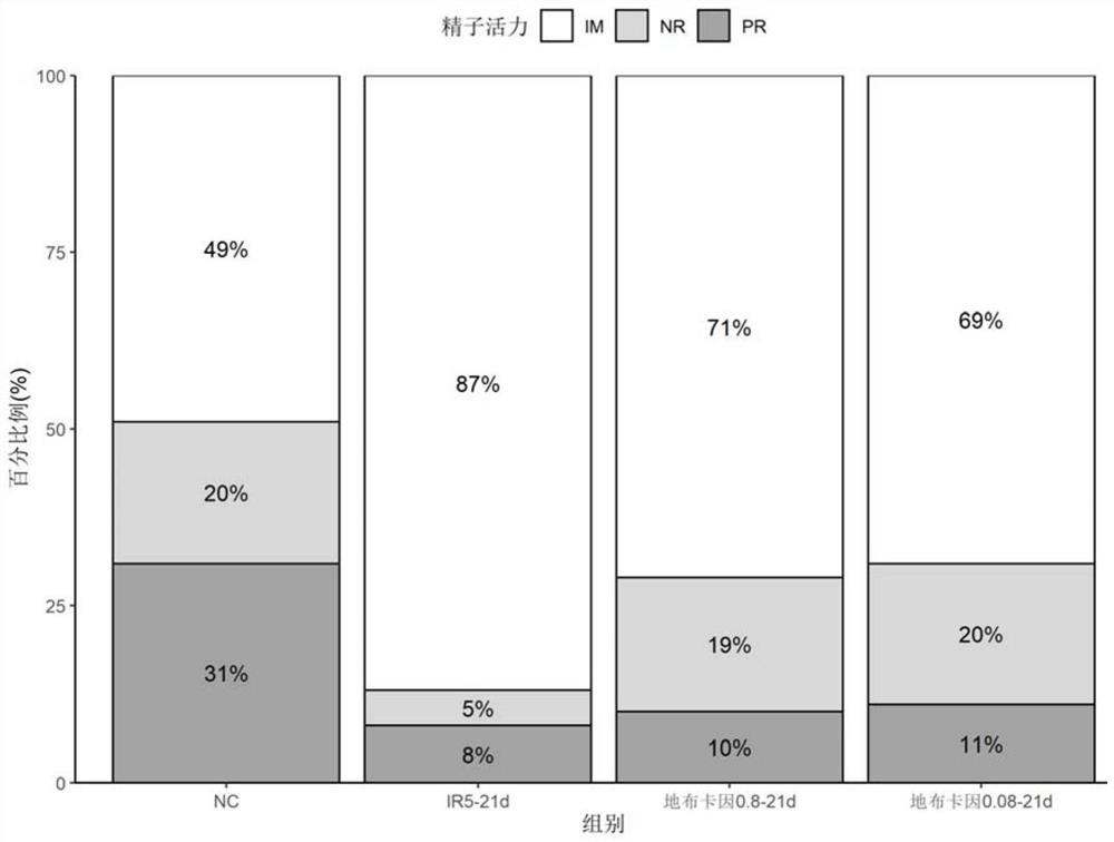 Application of dibucaine in preparation of medicine for treating spermatogenic dysfunction