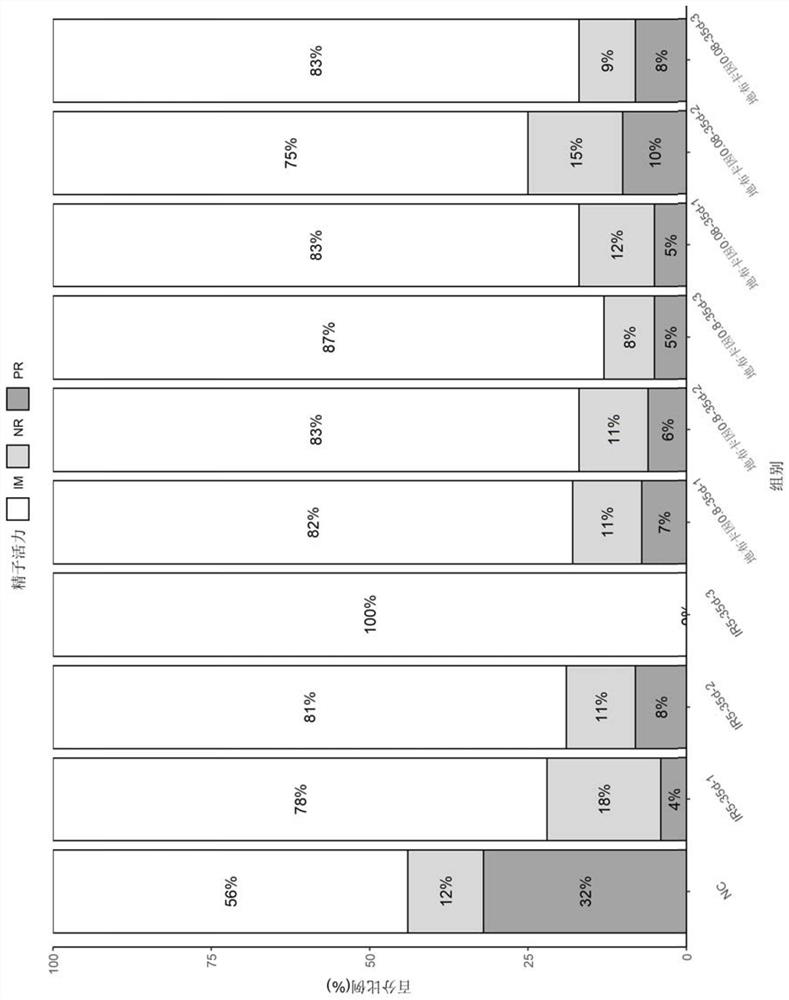 Application of dibucaine in preparation of medicine for treating spermatogenic dysfunction