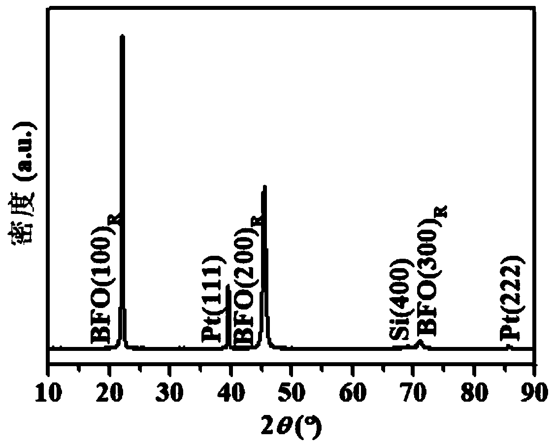 Bismuth ferrite film material, method for integrally preparing bismuth ferrite film on silicon substrate at low temperature and application