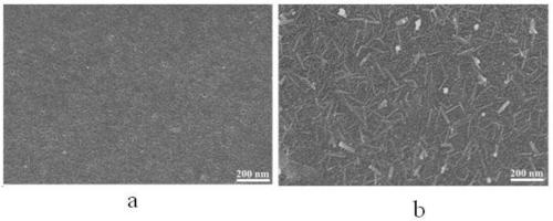 Bipolar membrane taking porous anode membrane as base material and preparation method of bipolar membrane