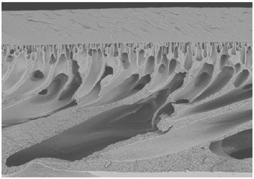 Bipolar membrane taking porous anode membrane as base material and preparation method of bipolar membrane