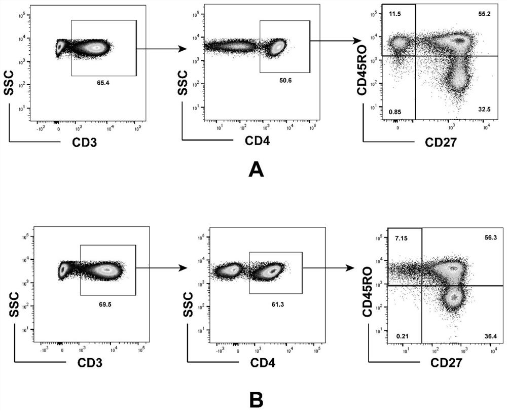 Application of advanced effect T cell subset in preparation of kit for assisting in evaluating condition degree of aplastic anemia