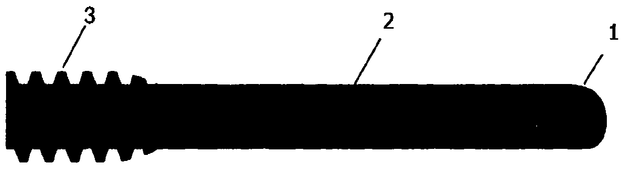 Bionic three-dimensional bone trabecula structure porous tantalum and preparation method thereof