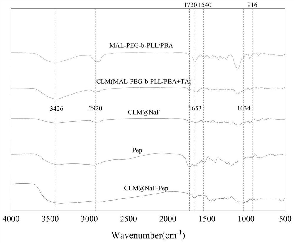 Oral care composition as well as preparation method and application thereof