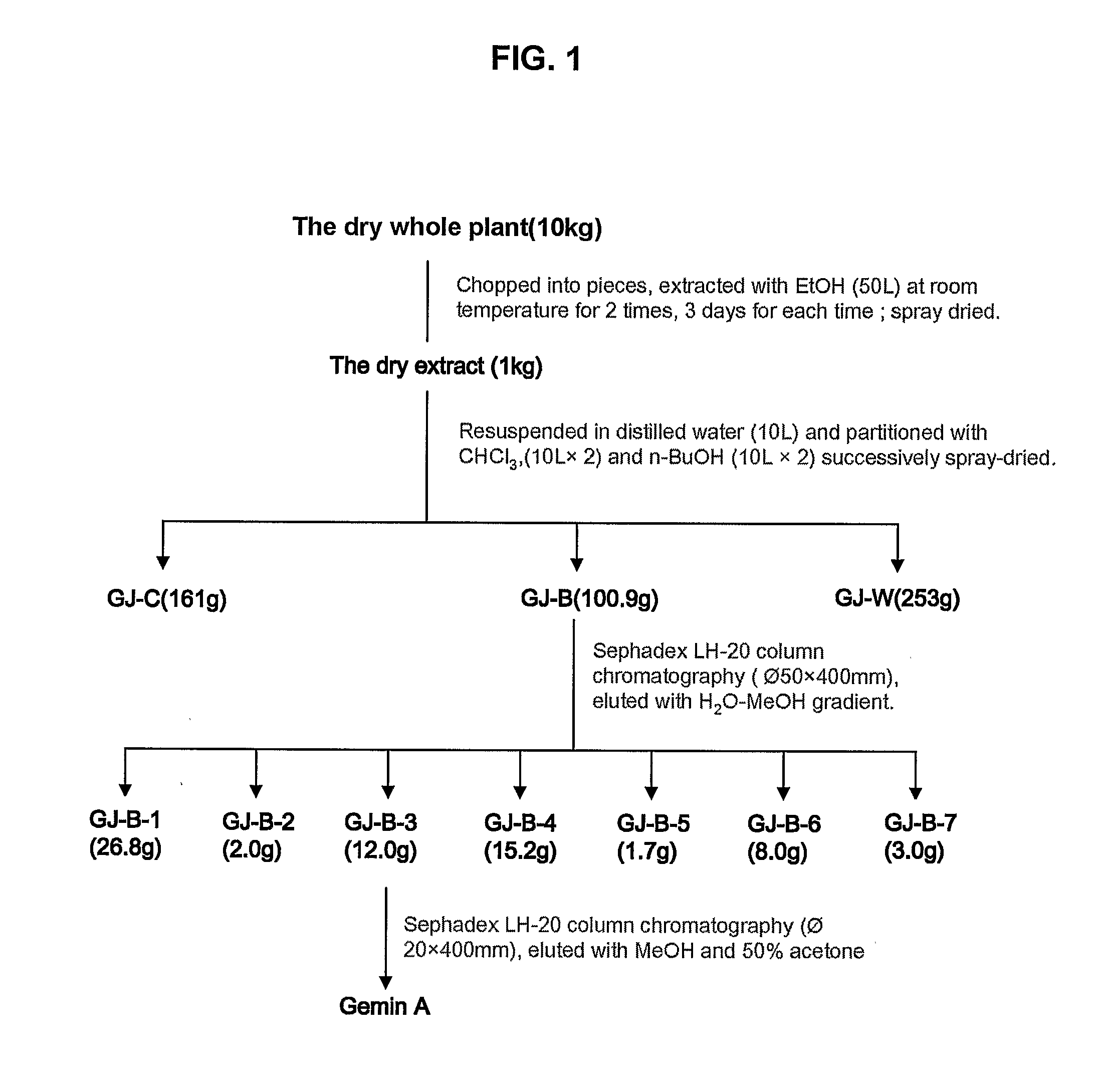 Pharmaceutical Composition And Method For Neoangiogenesis/Revascularization Useful In Treating Ischemic Heart Diseases