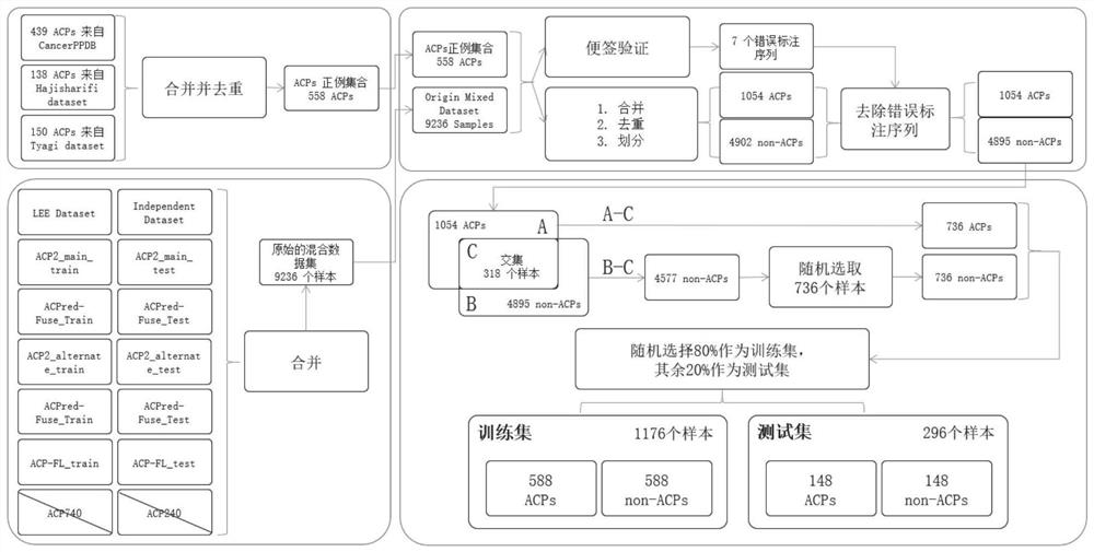 Polypeptide anticancer function identification method, system, medium and equipment