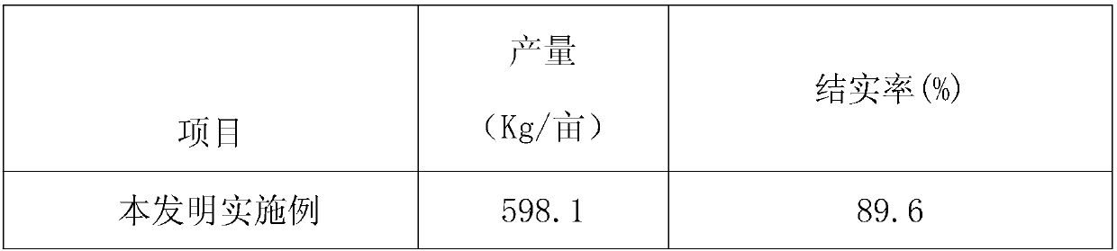 Microbial fertilizer for rice planting